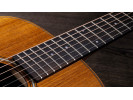 Taylor Mini e-Koa 