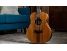 Taylor Mini e-Koa 