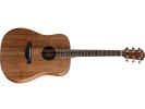 Taylor Academy 20e Walnut Top  