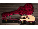 Taylor 214ce DLX Gold Hardware  
