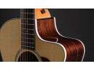 Taylor 214ce DLX Gold Hardware  