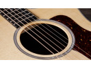 Taylor 214ce DLX Gold Hardware  