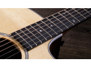 Taylor 214ce DLX Gold Hardware  