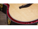 Taylor 214ce DLX Gold Hardware  