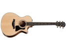 Taylor 312ce  