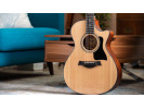 Taylor 317e 