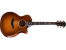 Taylor Builder's Edition 614ce WHB  