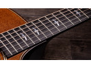 Taylor Builder's Edition 614ce WHB 