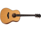 Taylor Builder's Edition 717e  