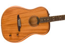 Fender Highway Series Dreadnought RW All Solid Mahogany  