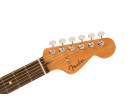 Fender Highway Series Dreadnought RW All Solid Mahogany  