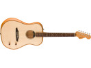 Fender Highway Series Dreadnought RW Natural 