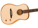 Fender Highway Series Dreadnought RW Natural  
