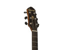 Crafter HD250 CE N 