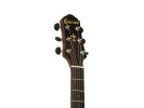 Crafter HD250 N 