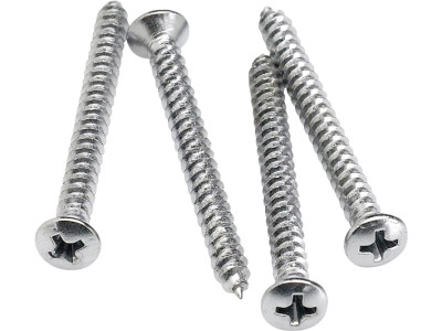 Fender Neck Mounting Screws (qty 4) 