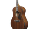 Ibanez AAM54-OPN 