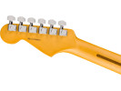 Fender American Professional II Stratocaster Anniversary 2-Color Sunburst 