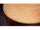 Taylor 314ce Studio 