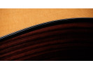 Taylor 210ce Plus 