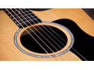 Taylor 210ce Plus 