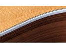 Taylor 210ce 