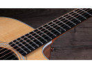 Taylor 210ce 