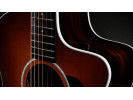 Taylor 214ce African Ziricote Plus Special Edition 