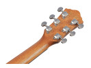 Ibanez V40LCE-OPN 