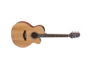 Takamine GN20CE-NS 