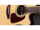 Takamine GD90CE-ZC NAT 