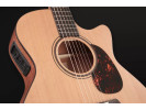 Furch Blue Gc-CM a SPE Master s Choice 