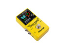 Nux  Loop Core Stereo 
