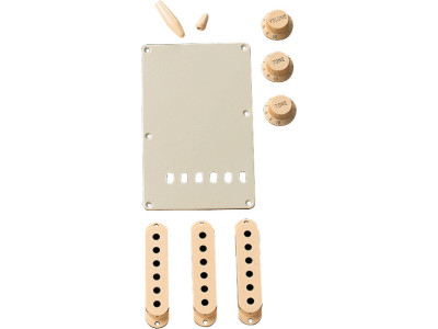 Fender PRIBOR Stratocaster Accessory Kit Aged White Fender PRIBOR Stratocaster Accessory Kit Aged White