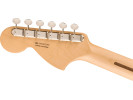 Fender Limited Edition American Performer Timber Stratocaster RW Honey Burst 