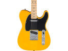 Fender Standard Telecaster MN BPG Butterscotch Blonde 