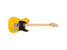 Fender Standard Telecaster MN BPG Butterscotch Blonde 