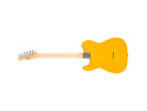 Fender Standard Telecaster MN BPG Butterscotch Blonde 