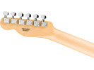Fender Standard Telecaster MN BPG Butterscotch Blonde 