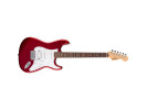 Fender Standard Stratocaster HSS Indian Laurel WPG Candy Cola 
