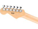 Fender Standard Stratocaster HSS Indian Laurel WPG Candy Cola 