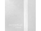 Pirastro VLN PERPET SET CADENZA 41A011  