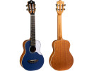 Flight IRIS CONCERT DB 