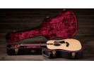 Taylor Legacy 810e 