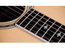 Taylor Legacy 810e 