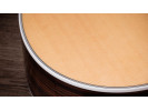 Taylor Legacy 810e 