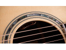 Taylor Legacy 810e 