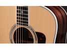 Taylor Legacy 810e 
