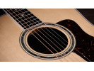 Taylor Legacy 810e 