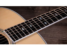 Taylor Legacy 810e 